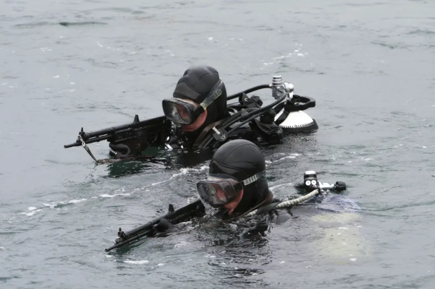 В ВМФ появятся мобильные подразделения боевых пловцов