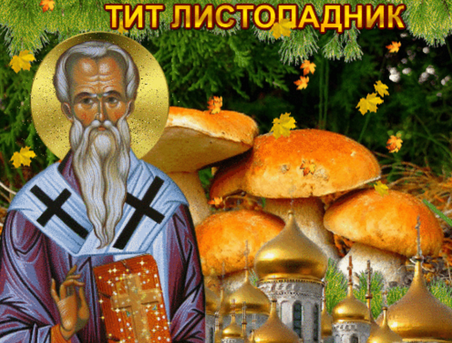 Приметы и поверья на 7 сентября 2023 года: почему в этот день нельзя брать детей в лес