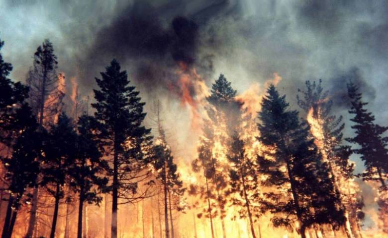 18 июля 2023 года в России отмечается День создания органов пожарного надзора