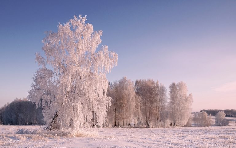 Какой будет погода в сентябре, подскажут приметы и поверья на 22 января