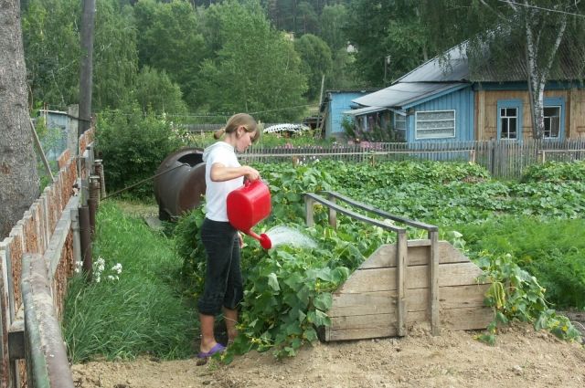 Почему 18 июня нужно обязательно избавиться от сорняков