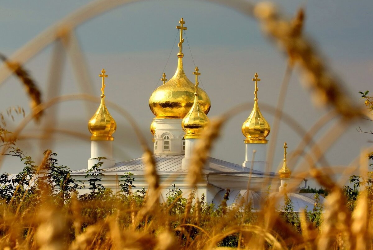Какие традиции церковного праздника святых Пимена и Марина и народного Марина-Пимены 20 августа 2023 года