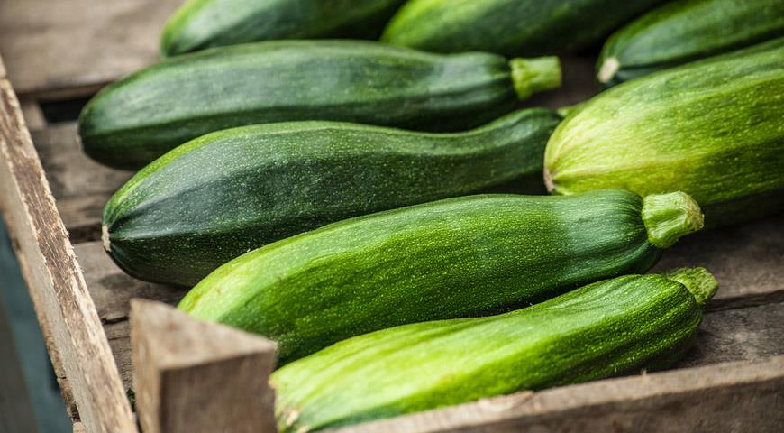 Вкусные и полезные цукини: простые рецепты из продуктов, которые всегда под рукой