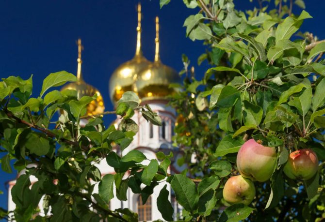 Празднование Медового Спаса и первый день Успенского поста: что можно и что нельзя делать 14 августа 2023 года