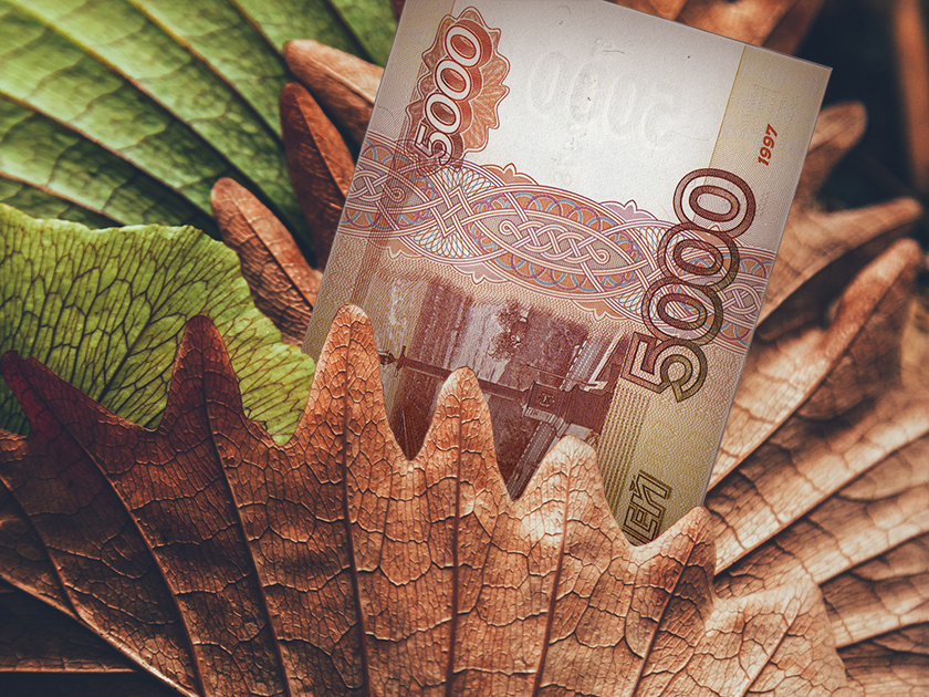 Овнам новая работа, Девам монетизация хобби: денежный гороскоп на осень 2023